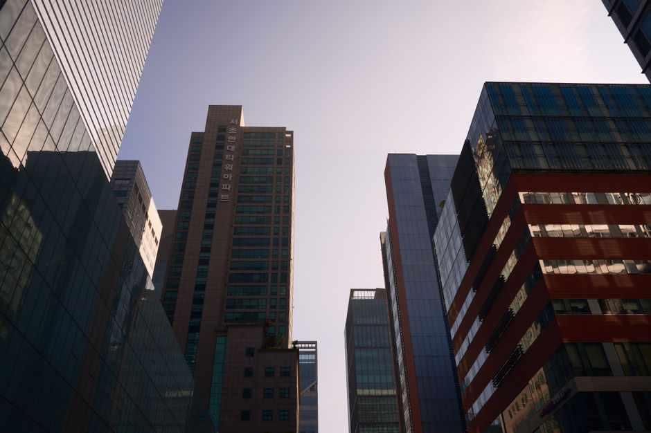 D-8 corporate investor visa